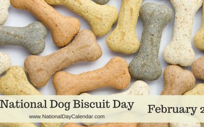 National Dog Biscuit Day