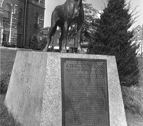 Man’s Best Friend…Where Did This Phrase Originate?