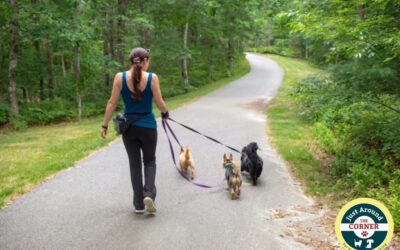 Dog Friendly Trails in Plymouth, MA: Part 2