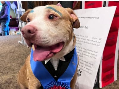 Samson 2025 Samson, AHH 2025
