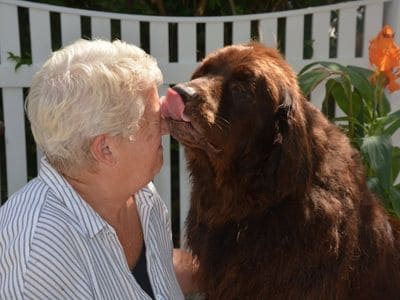 Pam, Owner of Just Around The Corner Pet Sitting